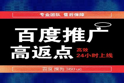 SEM网络推广案例：打造行业影响力品牌